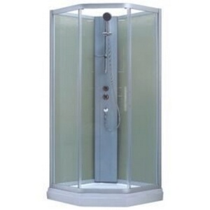 Душевая кабина 100*100*1955 RGW-2819  (трапеция/хром/прозр./ 6 мм(низкий поддон)