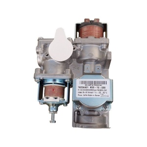 30010310А,В Арматура газовая в сборе для Deluxe